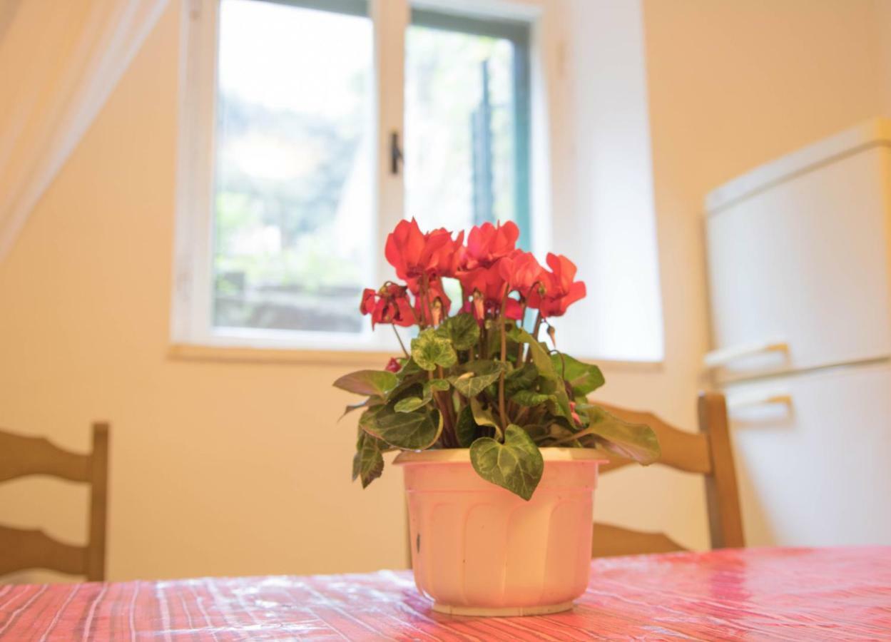 Apartman Juricic Labin  Exterior photo